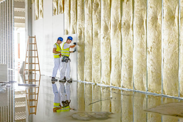 Professional Insulation Contractor in Hapeville, GA